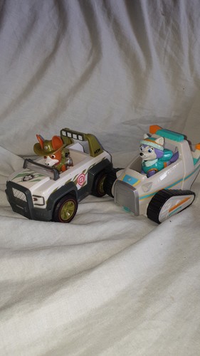 Paw patrol pup everest - -,