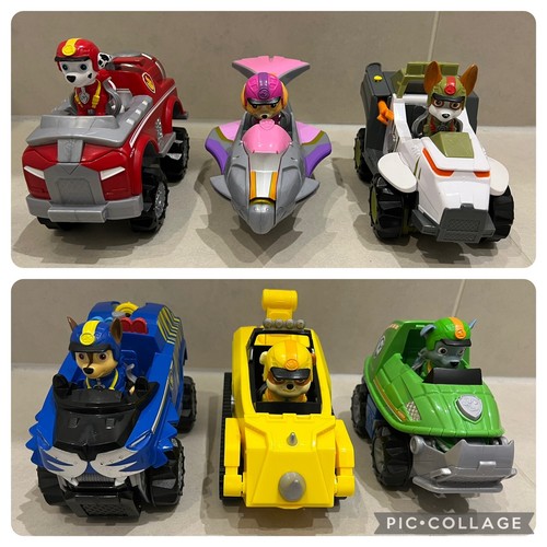 Paw patrol jungle - patrol, pups