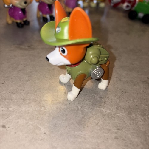 Paw patrol tracker dog - paw,