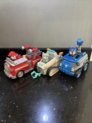 Paw patrol everest chase - everest,